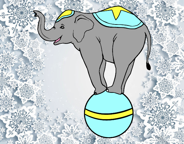 Elefante equilibrista