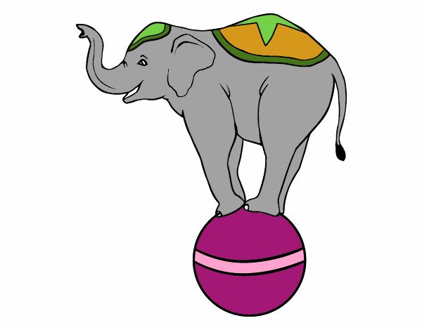 Elefante equilibrista