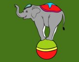 Elefante equilibrista