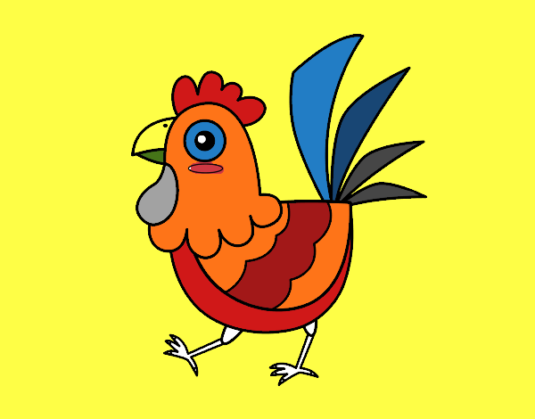 Gallina de granja