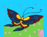 Dibujo Mariposa 8a pintado por linda423