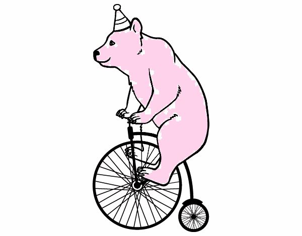 Oso en bicicleta