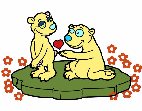 Pareja de osos enamorados