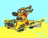 Perro de carreras