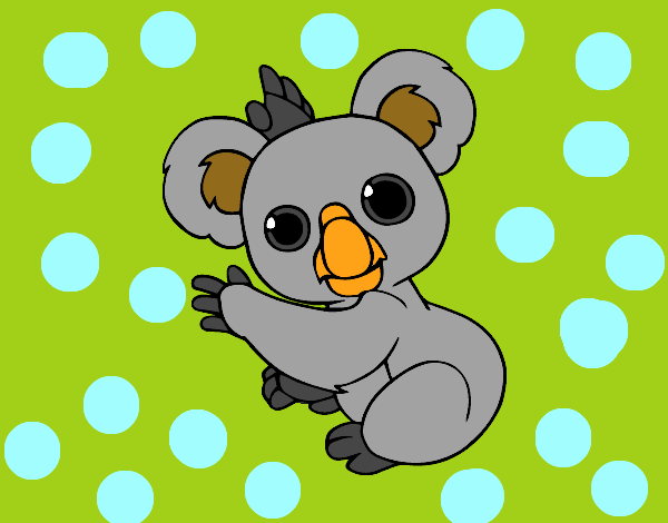 Un Koala