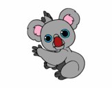 Un Koala