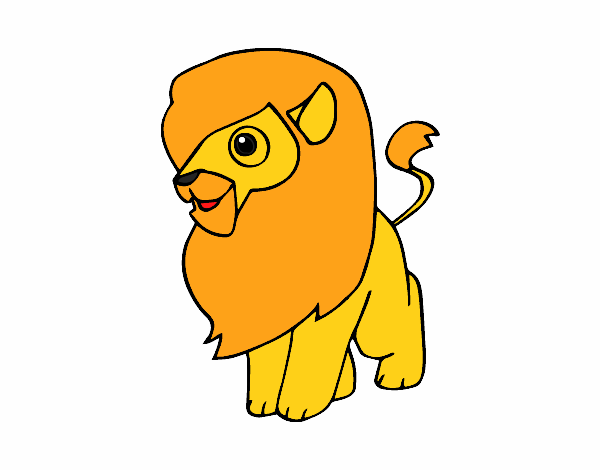 Un león