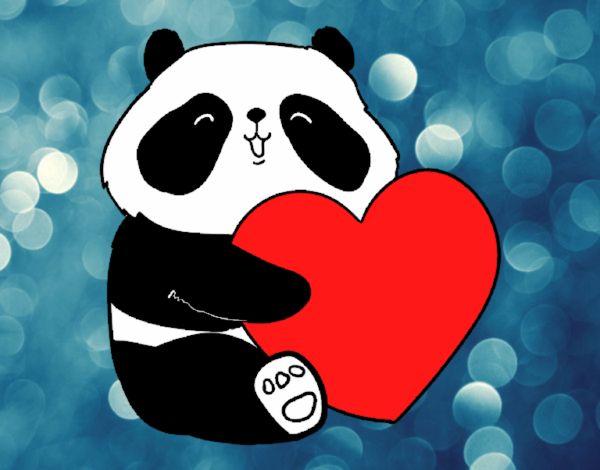 Amor Panda