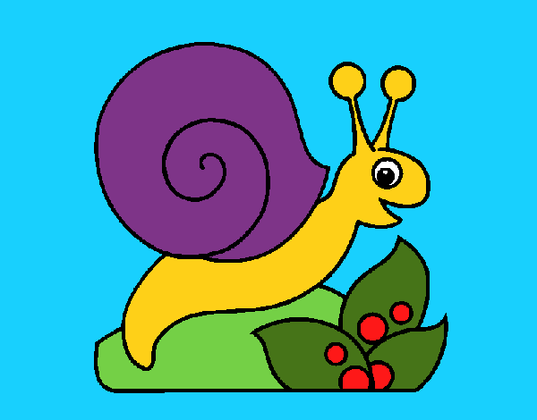 Caracol