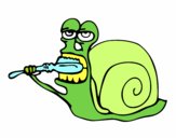 Caracol limpio