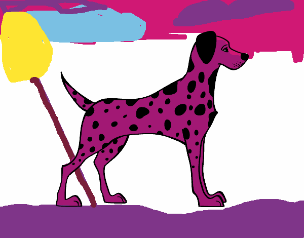 el cachorrito lili
