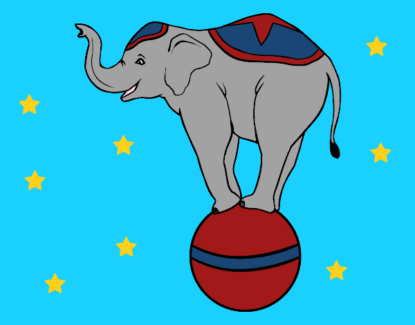 Elefante equilibrista