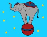 Dibujo Elefante equilibrista pintado por linda423