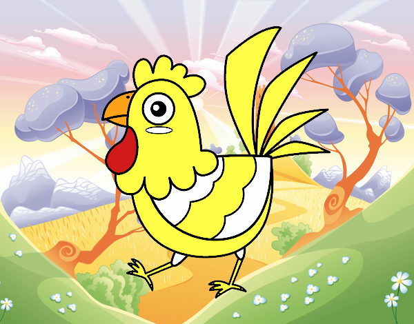 Gallina de granja