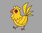 Gallina de granja