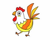 Gallina de granja