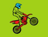 Moto de trial