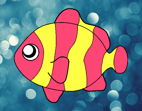 cute fish