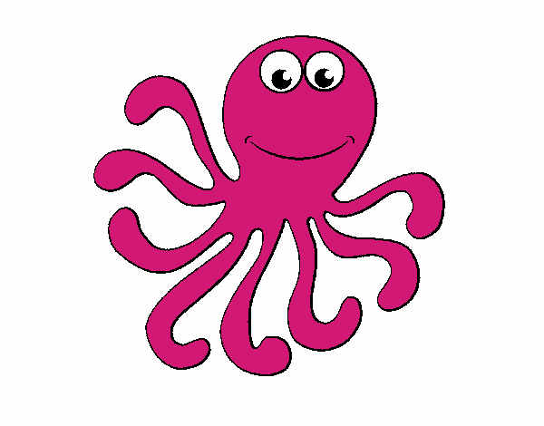 Pulpo 2