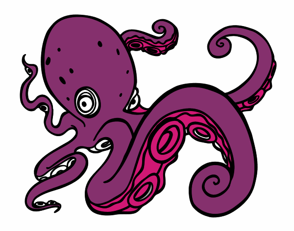 Pulpo enfadado