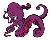 Pulpo enfadado