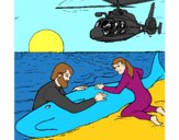 Rescate ballena