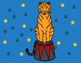 Dibujo Tigre de circo pintado por linda423