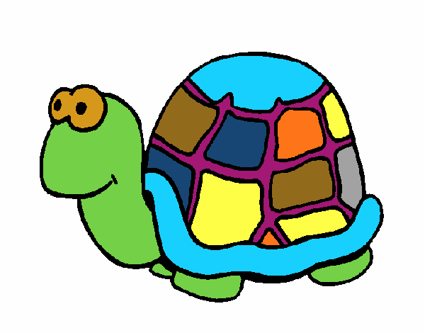 Tortuga