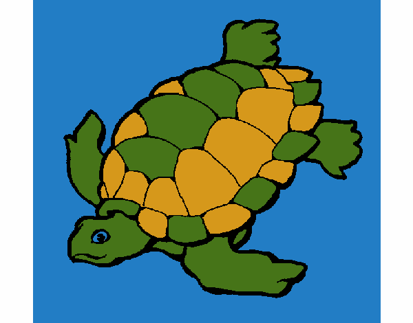 Tortuga