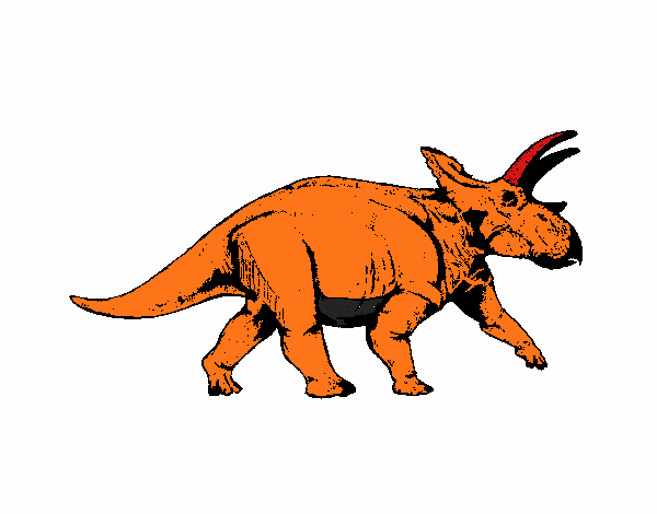 Triceratops 1