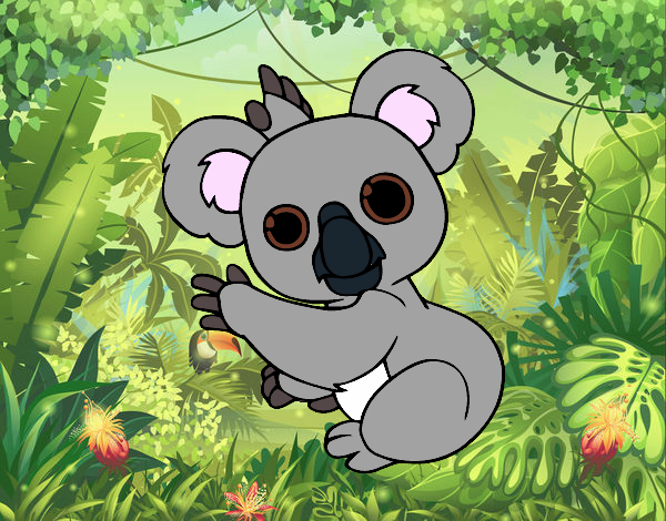 Un Koala