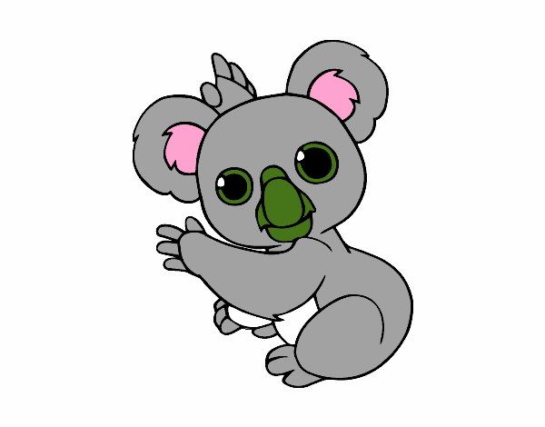 Un Koala