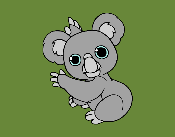 Un Koala