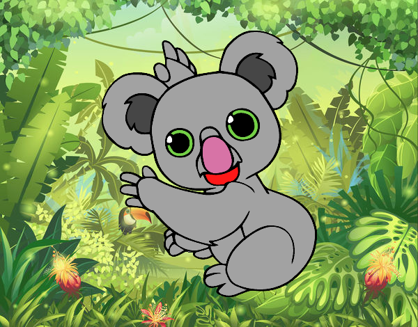 Un Koala