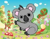 Un Koala