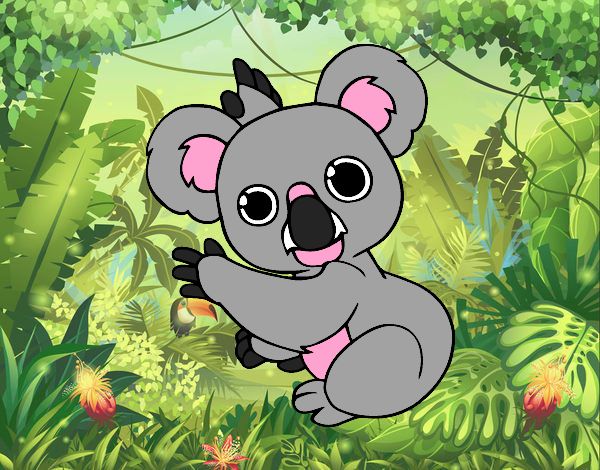 Un Koala