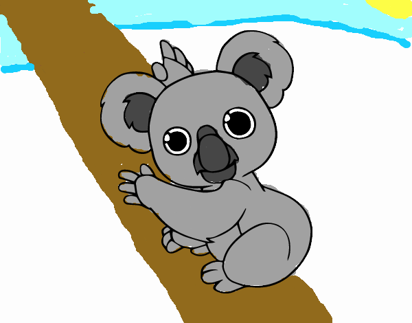 Un Koala