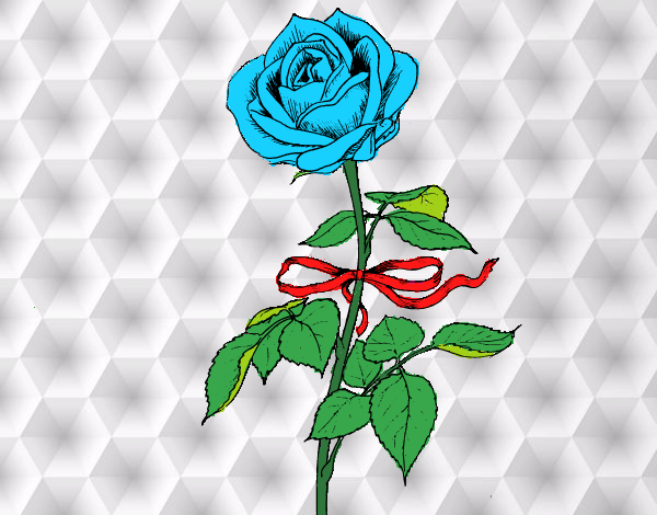 Una rosa