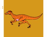 Velociraptor