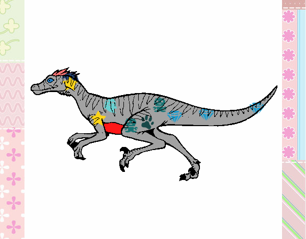 Velociraptor