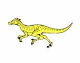 Velociraptor