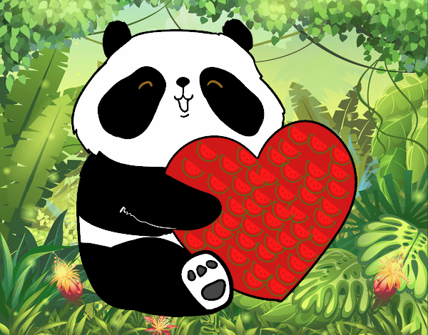 Amor Panda