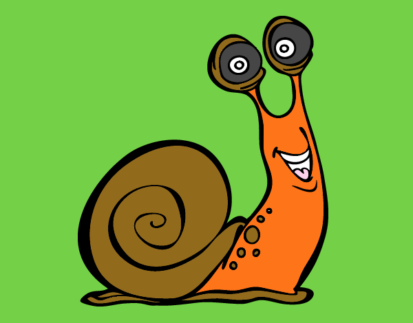 Caracol feliz