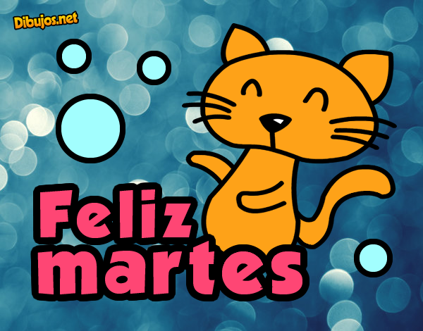 el gato del feliz martes