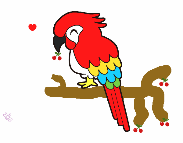 Guacamayo