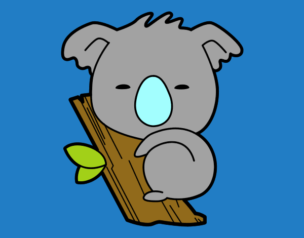 Koala bebé