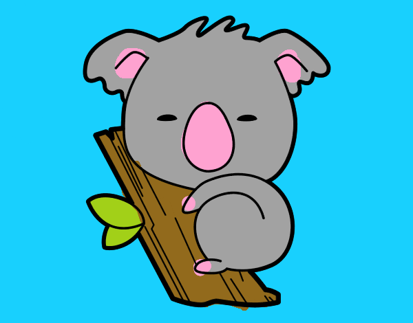 Koala bebé