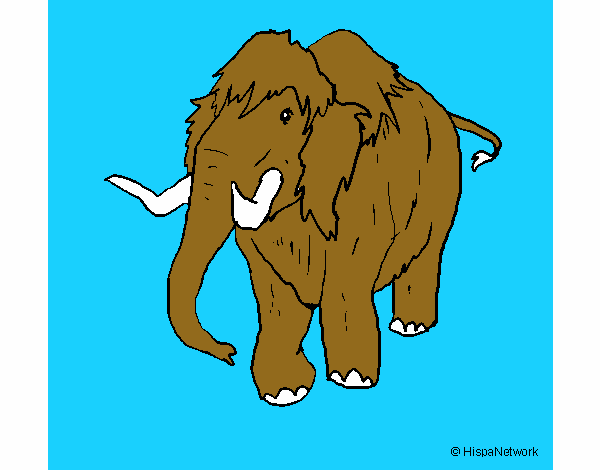 Mamut II