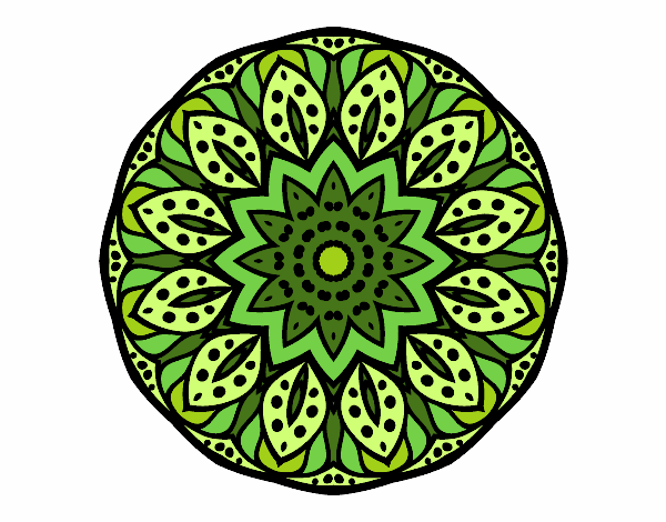 Mandala naturaleza