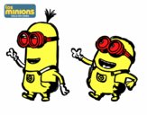 Minions - Tom y Dave